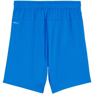 2. Puma Team Goal kids' shorts blue 705753 02