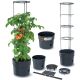 9. TOMATO PLANTING POT WITH LADDER CAPACITY 18L