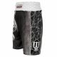 3. Boxing shorts Iron Pro MFC PATRIOTIC &quot;EAGLE&quot; M 06117-01M