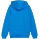 3. Puma teamGoal Casuals Hooded Jr sweatshirt 658596 02