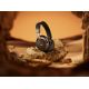 10. Bose 890101-0400 Headphones/Headset Wireless Headband Calls/Music Bluetooth Black, Gold