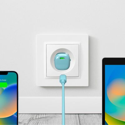 3. Puro 20W GaN USB-C Wall Charger - Green