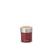 Thermos preppen vacum jug 700-ox red PRIMUS