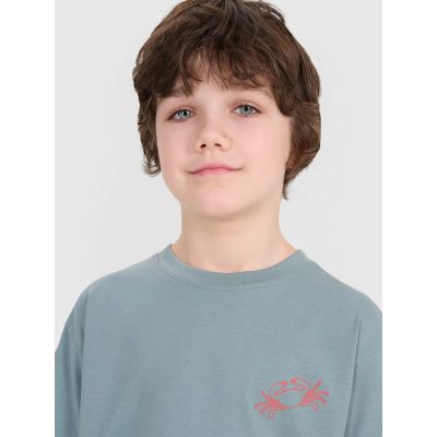 4. Boy's oversize T-shirt with print 4F 4FJWSS25TTSHM1914-46S