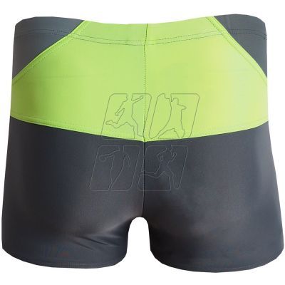 4. Aqua-Speed Dexter M 38 409 swimming shorts