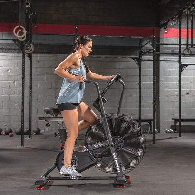 26. Schwinn Airdyne AD8 100475 Air Bike