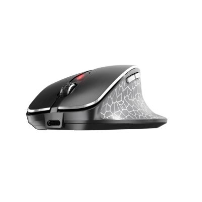 2. CHERRY MW 8C ERGO mouse Right side RF Wireless + Bluetooth Optical 3000 DPI