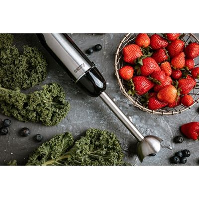 CAMRY CR 4615 Hand Blender