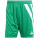 6. Men's adidas Fortore 23 shorts green and white IQ3209