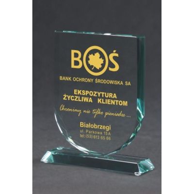 5. Engraved glass trophy with case + paint filling