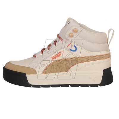 5. Shoes Puma Tarrenz SB III Open Road Jr 393929-02