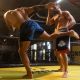 16. T55 | Thai training target with an elongated profile