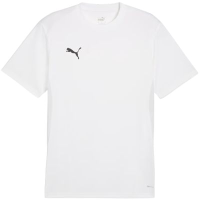 Men's Puma TeamGoal Jersey white 658636 04