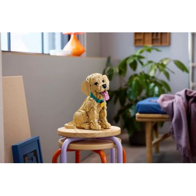 15. LEGO 11384 Icons - Golden Retriever Puppy
