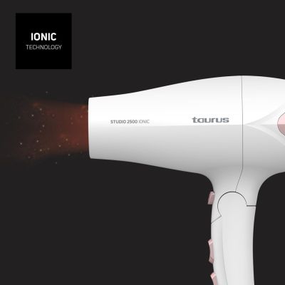 12. Taurus Studio 2500 Ionic 2400W Hair Dryer