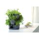 44. VERICAL GARDEN CASCADE HERB POT - GRAPHITE