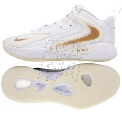 Nike Hyperset 2 M Volleyball Shoes FQ7070-104