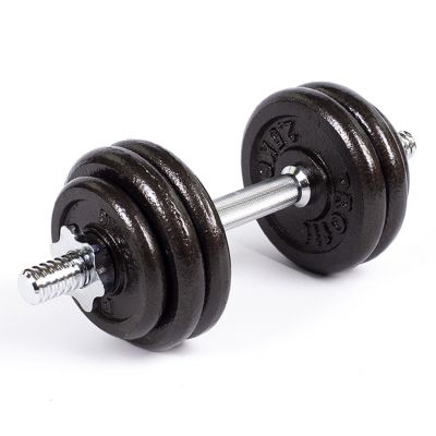 7. Profit cast iron dumbbells 10kg DK 4126