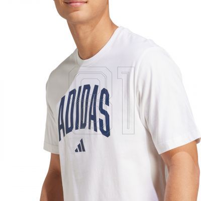 5. adidas Collegiate Lineage Graphic T-shirt M JM6416