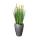 4. Scheurich 4033083542675 Outdoor Planter Potted Planter Freestanding Plastic Black