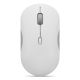 Lenovo 350 Bluetooth Silent Mouse (Cloud Gray)