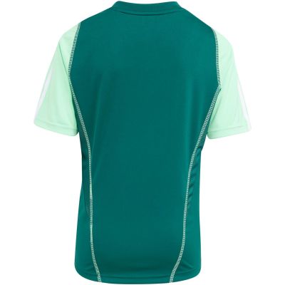 7. adidas Tiro 23 Competition Jersey for kids green HU1300
