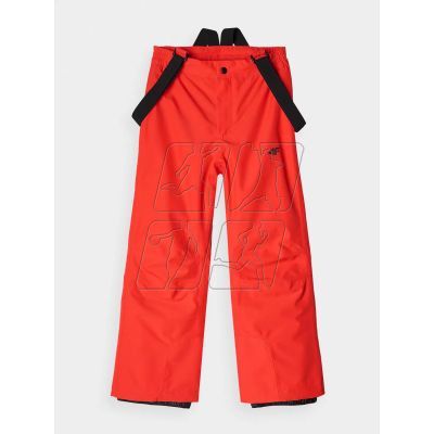 Ski pants 4F Jr 4FJWAW24TFTRM654-62S