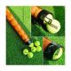 6. Teloon Tennis Ball Tube T15