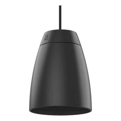 2. 2-way 6-Coly Audac ALTI6/B hanging speaker, black version