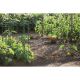 16. PLANT SUPPORT FLOO SUPPORTS DIAMETER 25 AND 35 CM FOREST GREEN