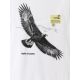 6. Men's regular printed T-shirt 4F 4FKAW26TTSHM4499-10S