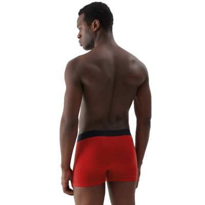 10. Boxer shorts 4F M027 1 M 4FAW23UBXSM027 91S