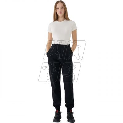 5. Trousers 4F CAS F1013 W 4FWSS25TTROF1013 20S