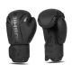 6. 10oz Boxing Gloves - Raptor - Origin Series