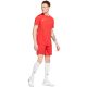 13. Nike Dry Park VII JSY SS M BV6708 657 T-shirt