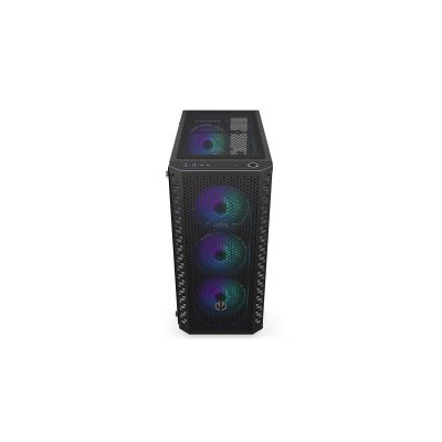 45. ENDORFY Signum 300 ARGB case