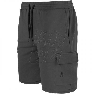 2. Alpinus Bajadilla M SI18149 shorts