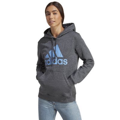 4. Sweatshirt adidas Big Logo FL R HD W IC9845