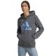4. Sweatshirt adidas Big Logo FL R HD W IC9845
