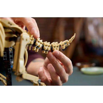 25. LEGO Jurassic World 77985 - Dinosaur Skeletons: Triceratops