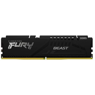 2. Kingston Technology FURY Beast 16GB Memory Module 1 x 16GB DDR5 6000MT/s
