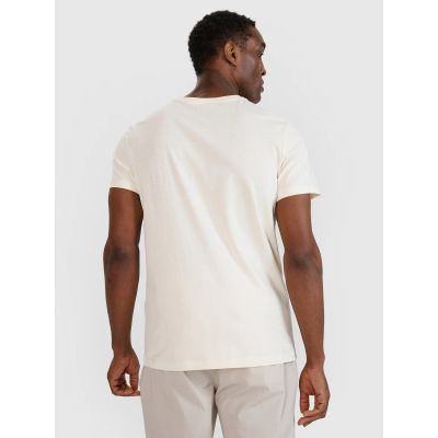 3. Men's regular printed T-shirt 4F 4FWSS25TTSHM1980-11S