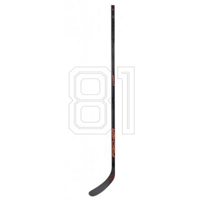 2. Fischer CT850 Sr Composite Stick H10916,60,085