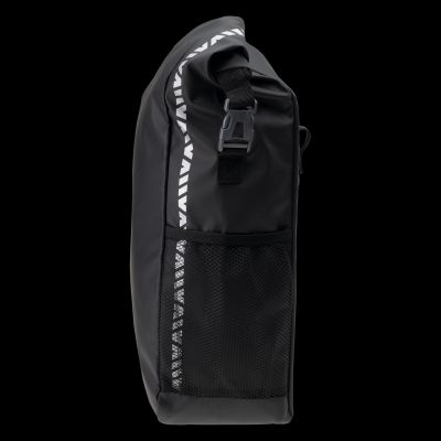 2. SAXON'S PURSE