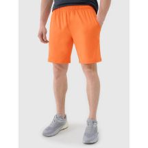Men's quick-drying training shorts 4F 4FWSS25TFSHM0911-70S