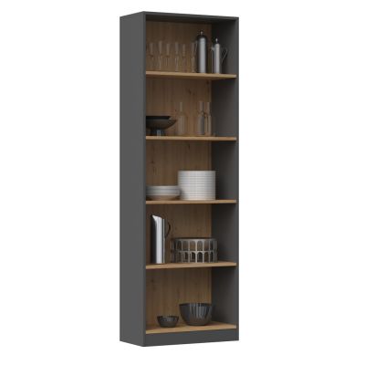 2. R60 bookcase 60x30xH182 anthracite/artisan