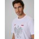 6. Men's fan t-shirt 4F 4FRSS26TTSHM4438-10S