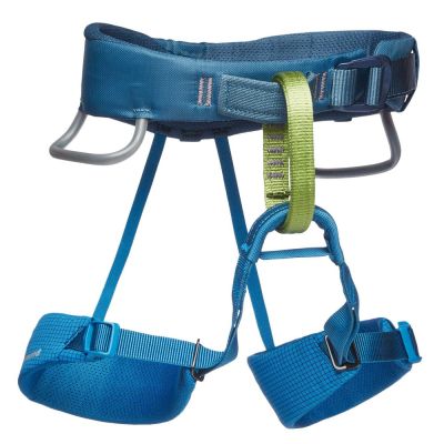 5. Black Diamond Kid's Momentum Harness