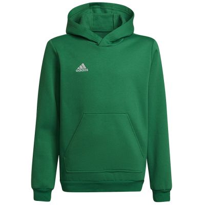 Adidas Entrada 22 Hoody Y Jr sweatshirt HI2143