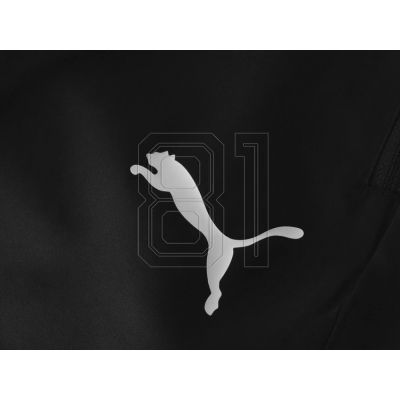 19. Puma Liga M sweatpants 655317 03